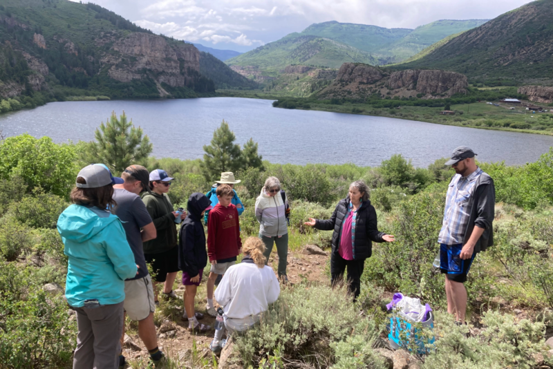 What Are the Benefits of Forest Bathing?